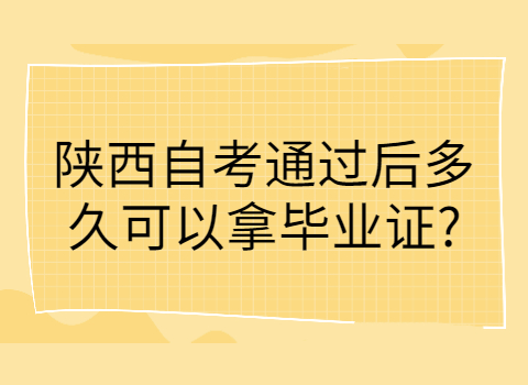 陕西自考网