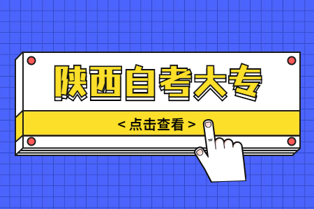 陕西省自考专科以往成绩能查询吗?